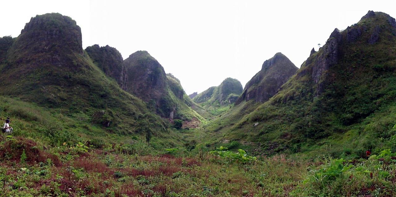Solar Lodge Moalboal Bagian luar foto